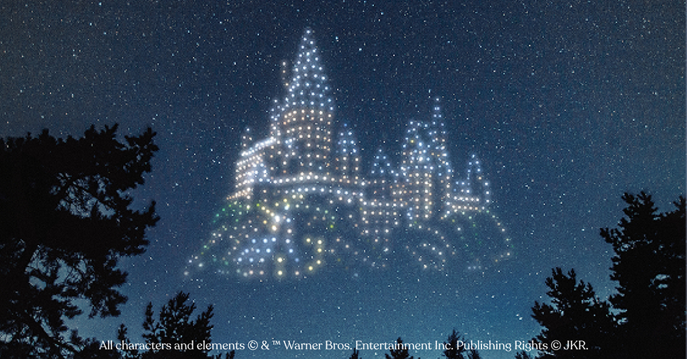 DroneArt Show: Harry Potter — photo 4