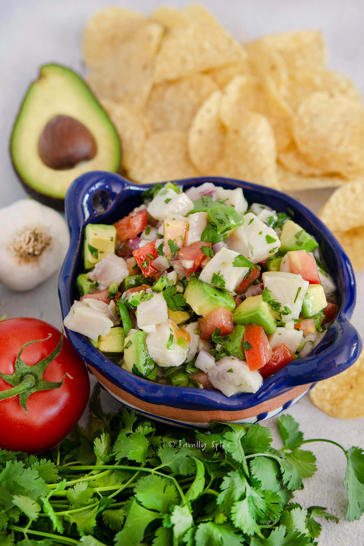 Mission Ceviche