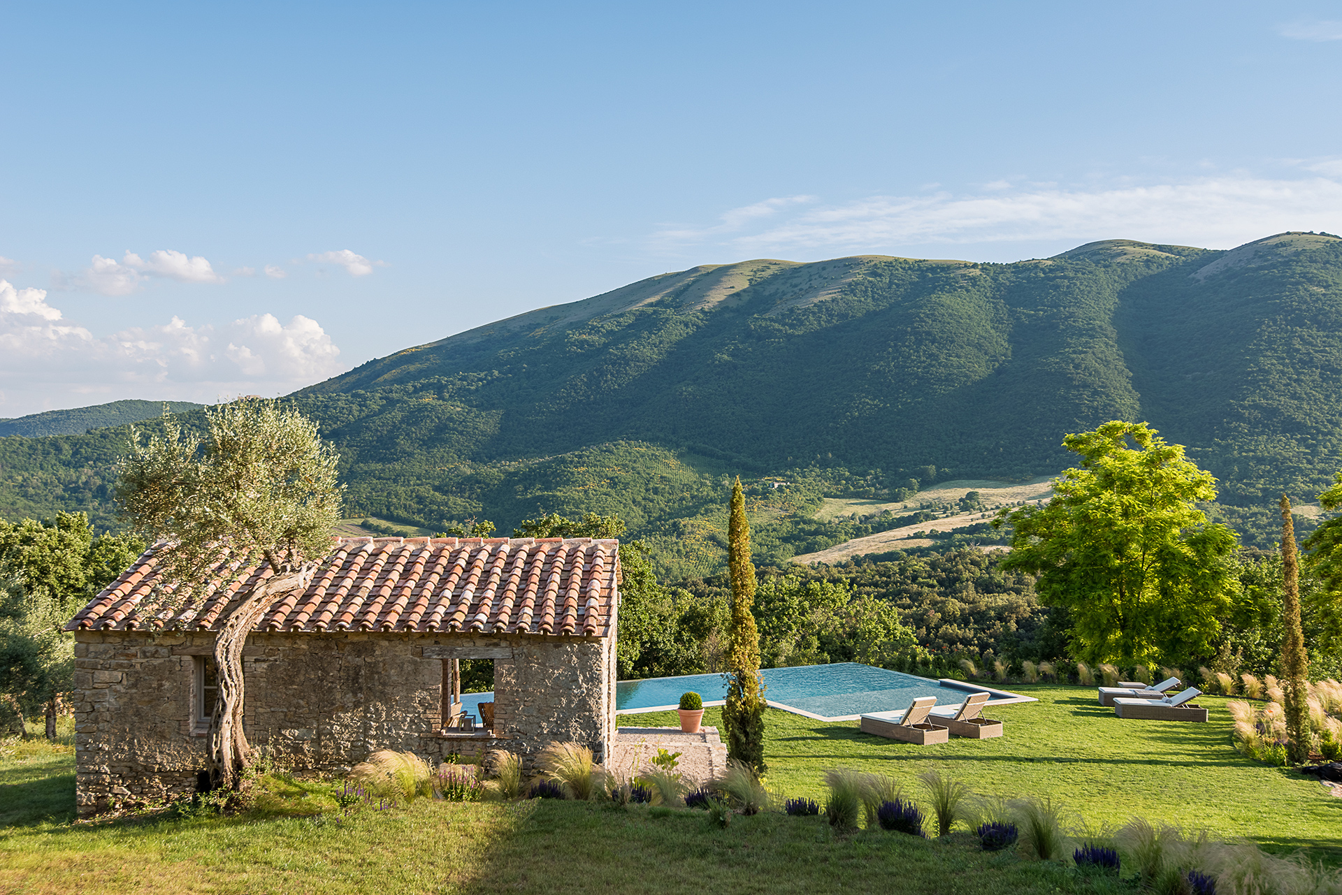 Tenuta di Murlo — photo 2