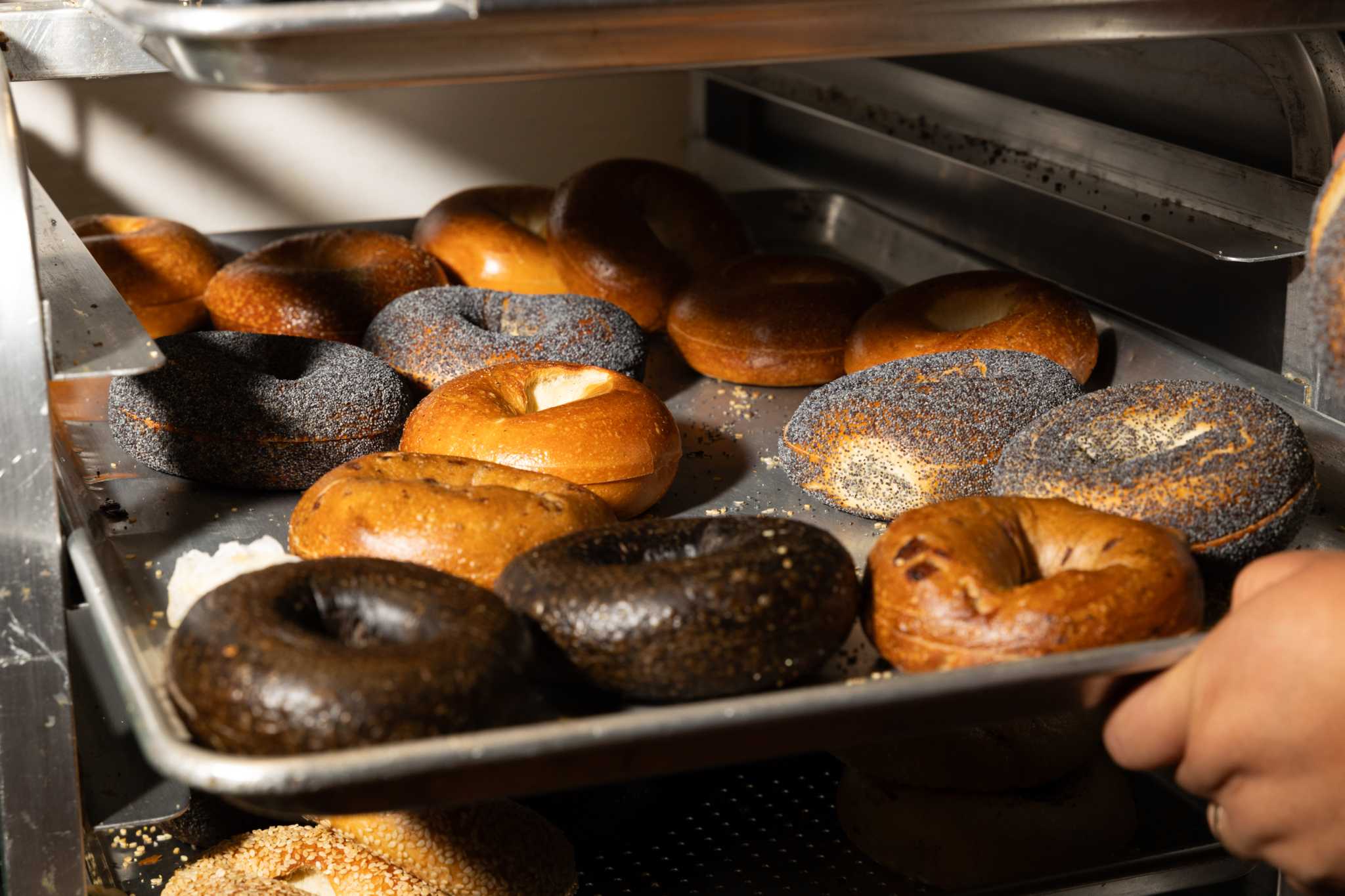 Bloom Bagels — photo 5