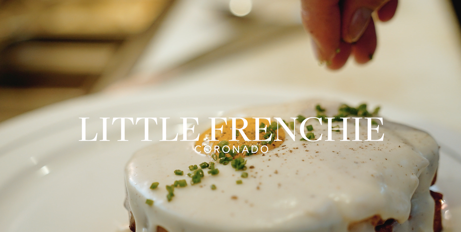 Little Frenchie — photo 5