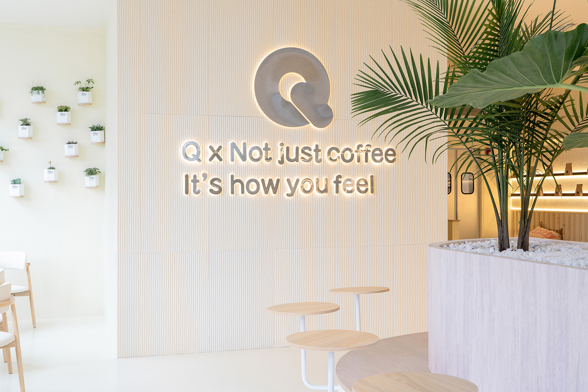 Q Specialty Coffee — photo 4