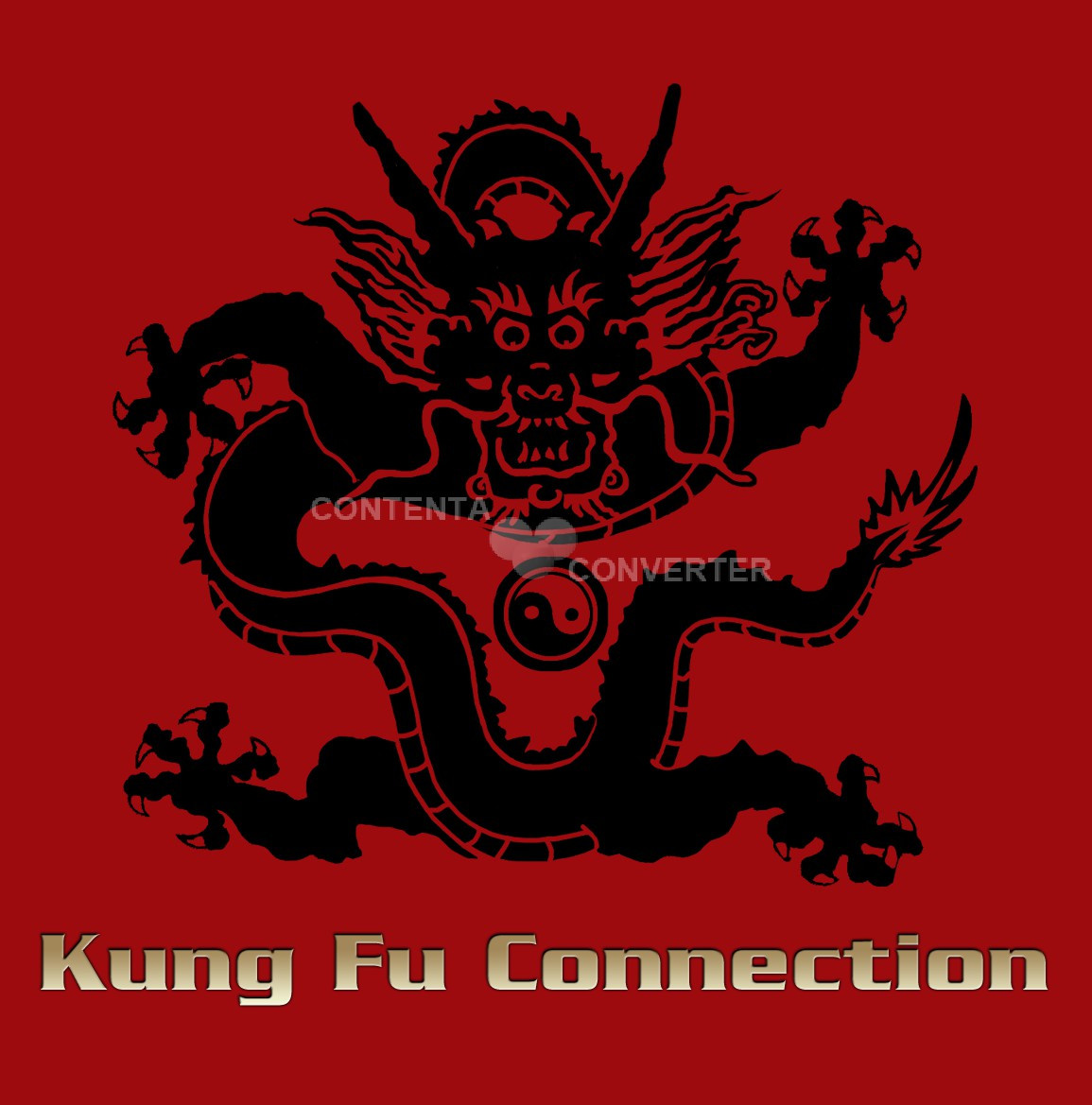 Kung Fu Chicken — photo 3