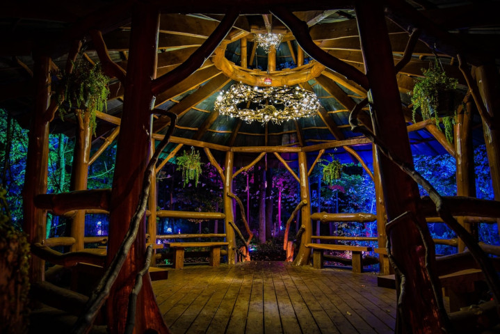 Blueberry Treehouse Farm — photo 3