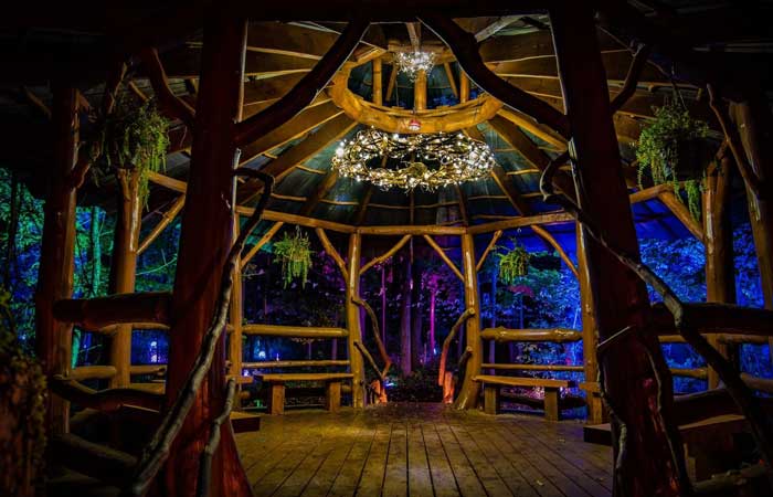 Blueberry Treehouse Farm — photo 5