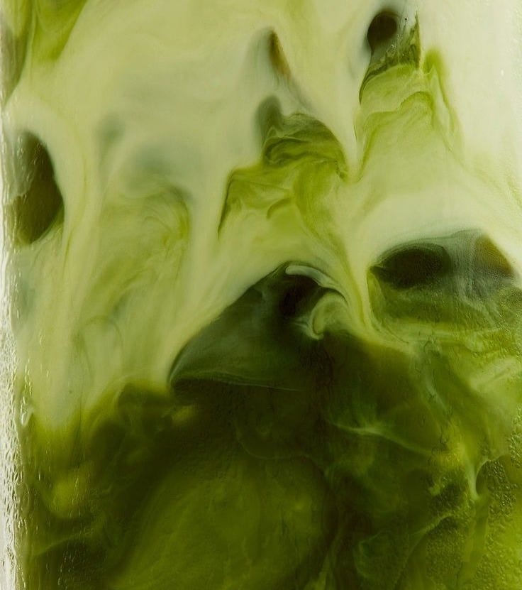 12 Matcha — photo 3