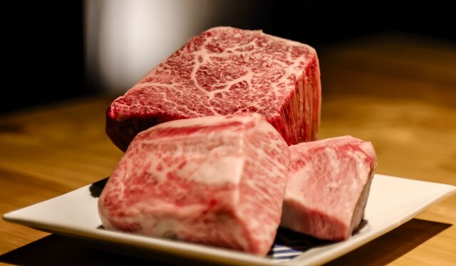 Dojima Yakiniku Restaurant — photo 2
