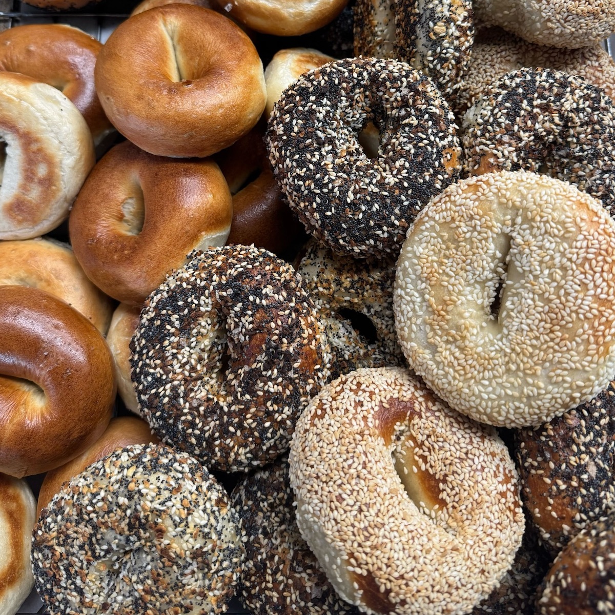 PopUp Bagels — photo 4