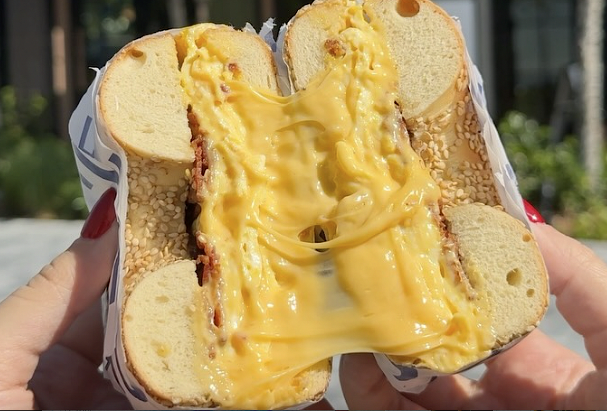 H&H Bagels — photo 3