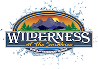 Wilderness at the Smokies — photo 2