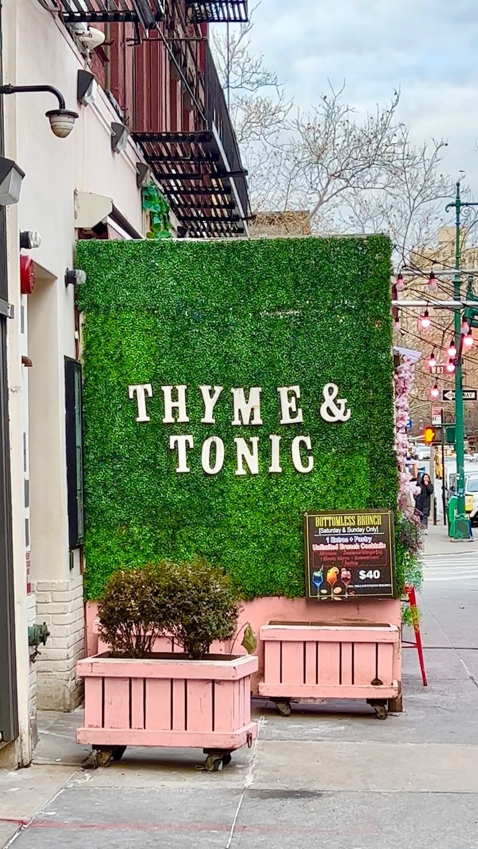 Thyme & Tonic — photo 5